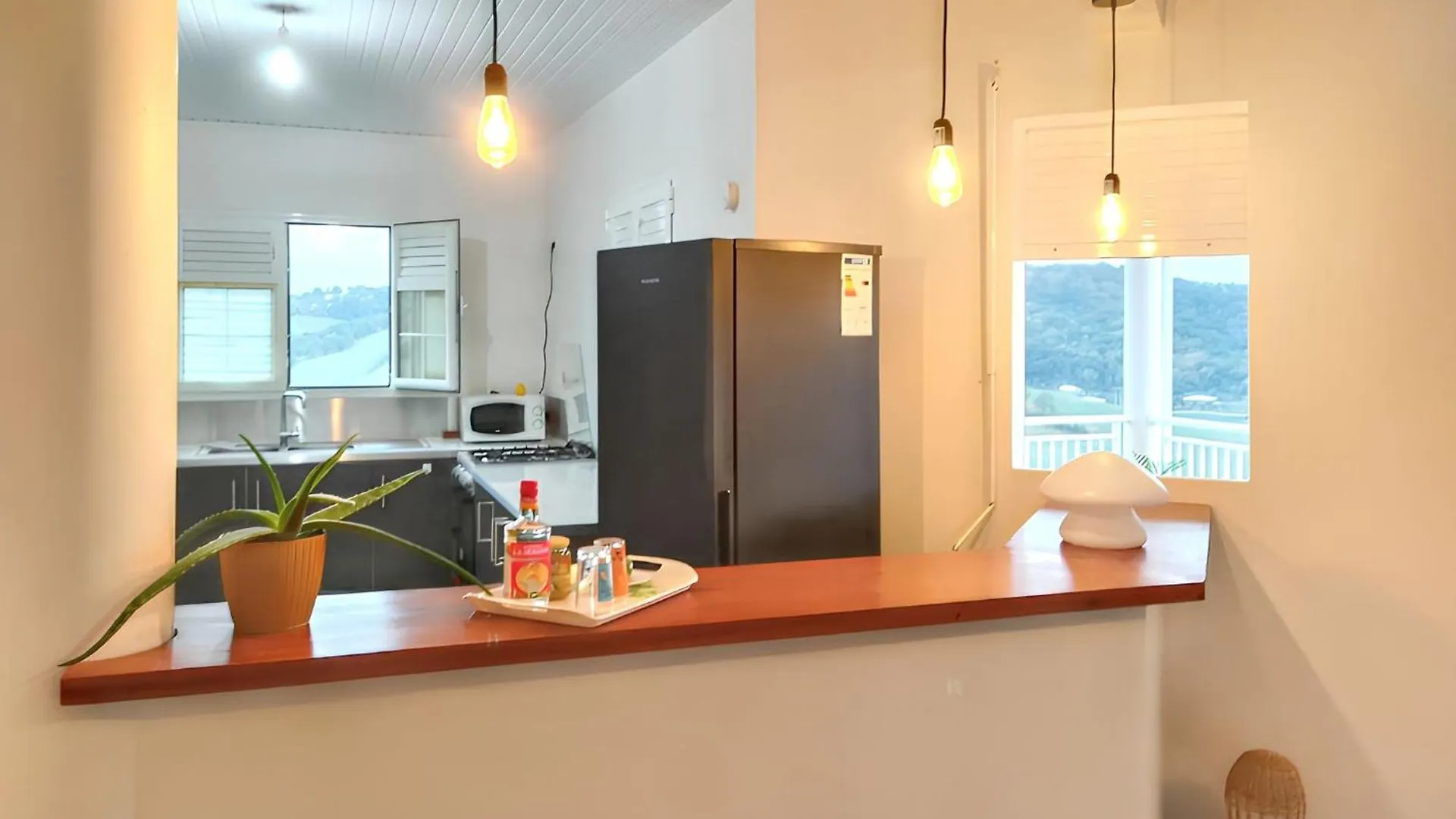 Apartment Appartement Spacieux Avec Vue Montagne A Le Marin 82 M²